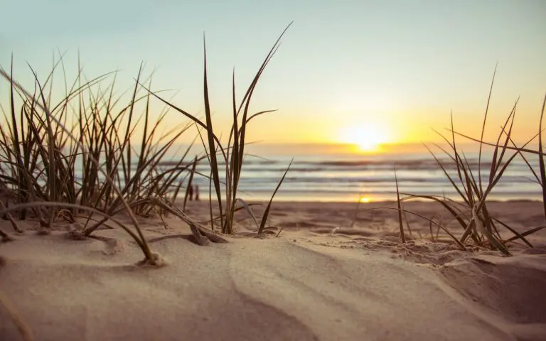 Foto para: Costa Dorada – Brilla como el oro