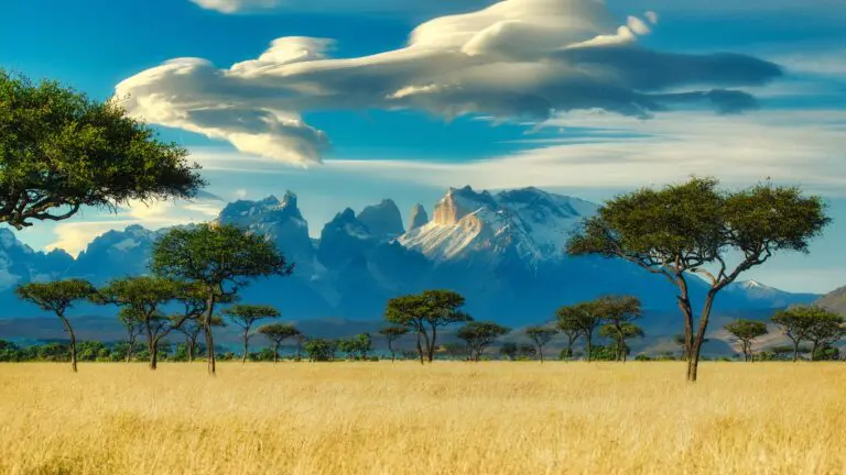 Foto para: Nairobi, una experiencia inolvidable