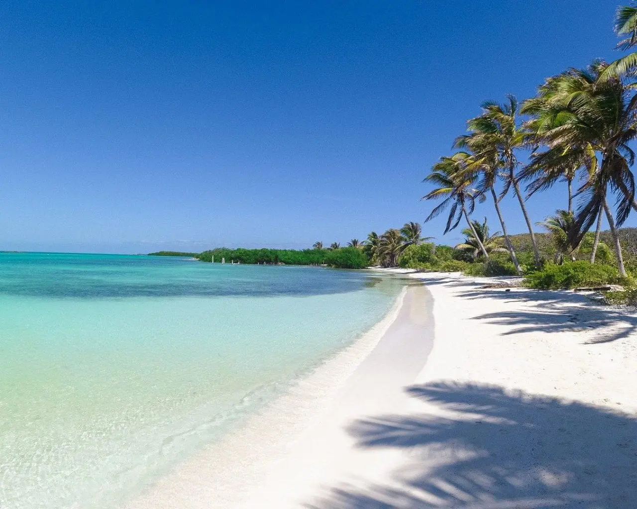 Escápate a México con este chollazo