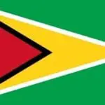 Bandera de Guyana
