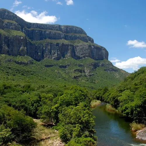Hermanus, la segunda capital de Sudáfrica