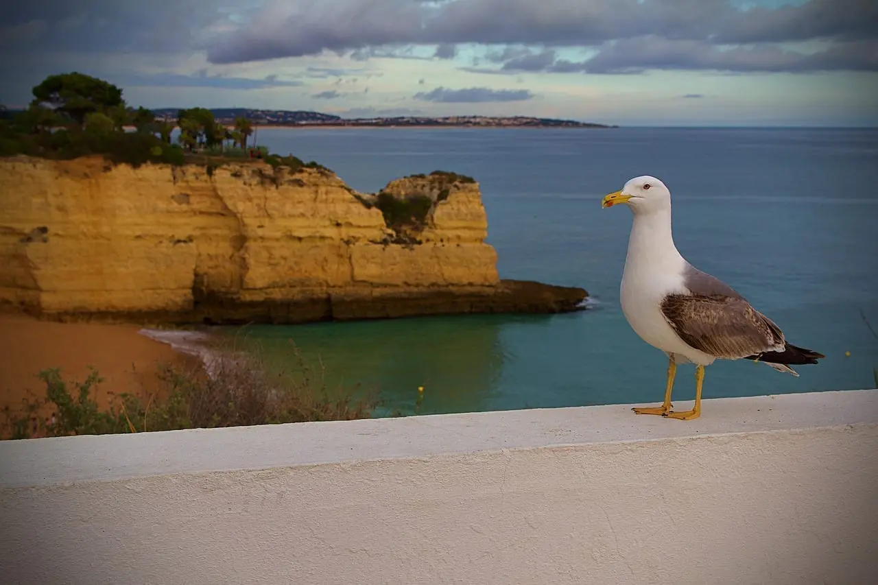Foto del destino: Albufeira