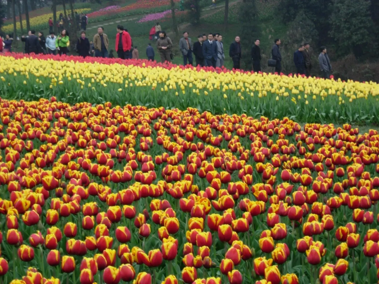 Foto del destino: Chengdú