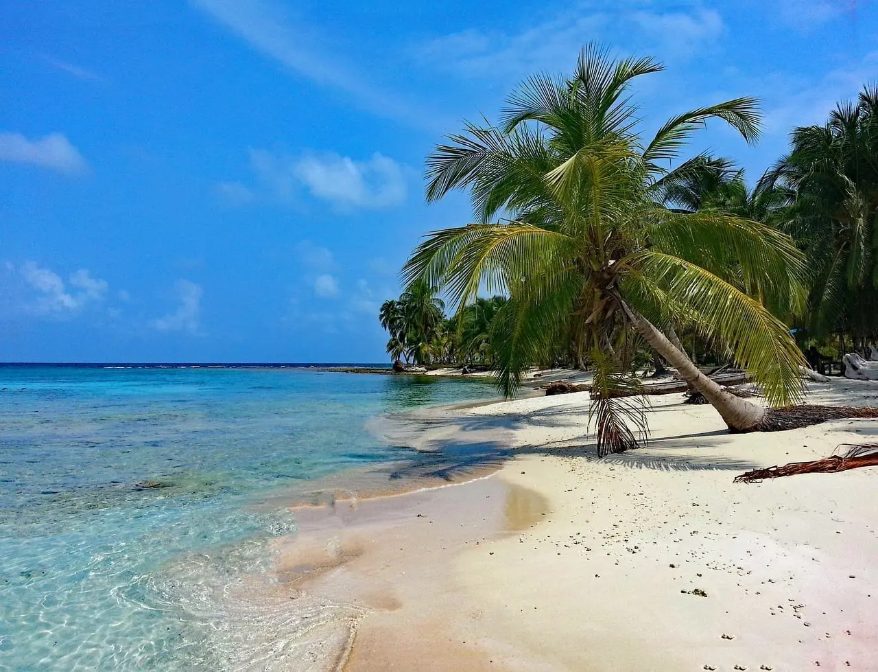 Foto del destino: San Blas