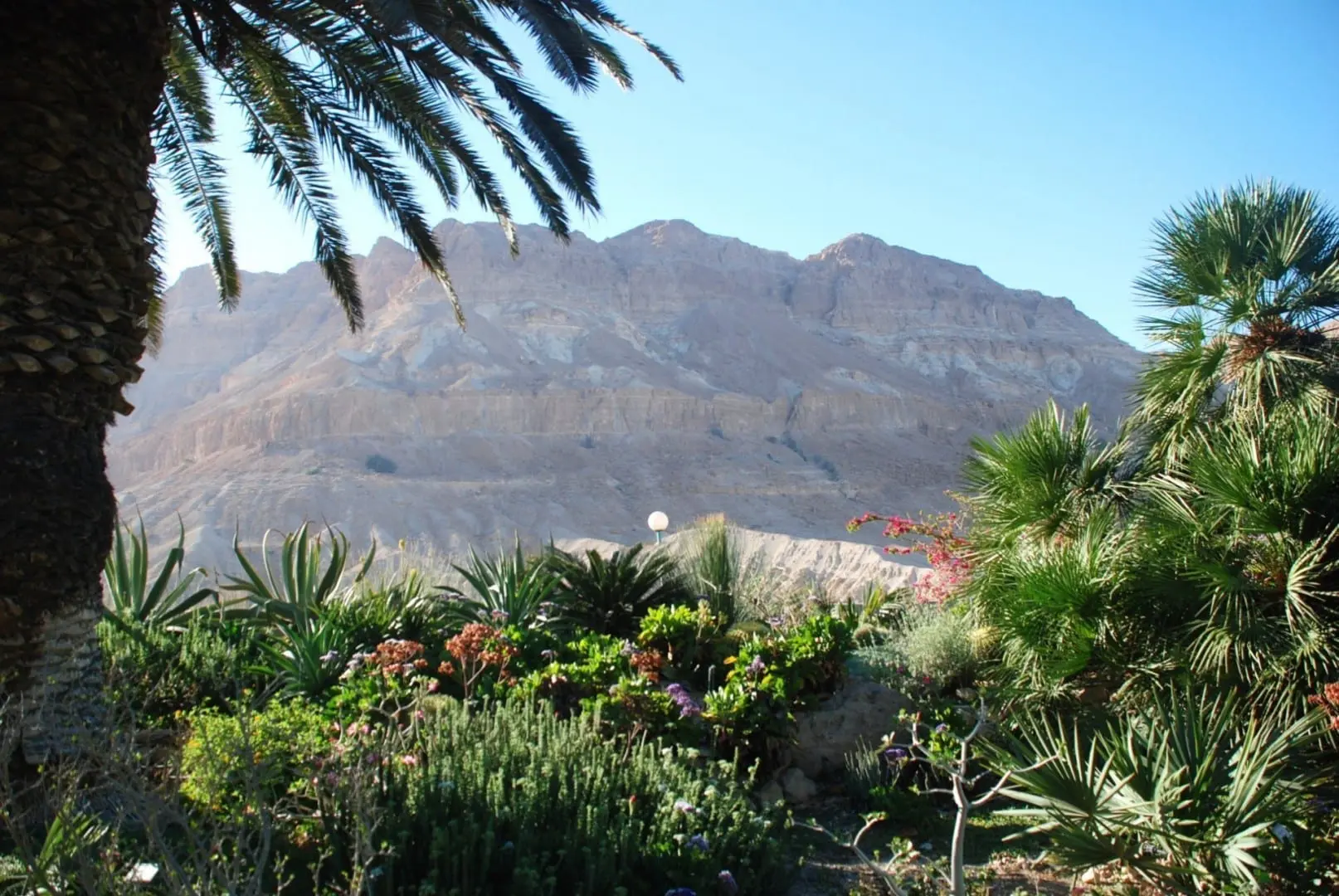 Foto del destino: Ein Gedi