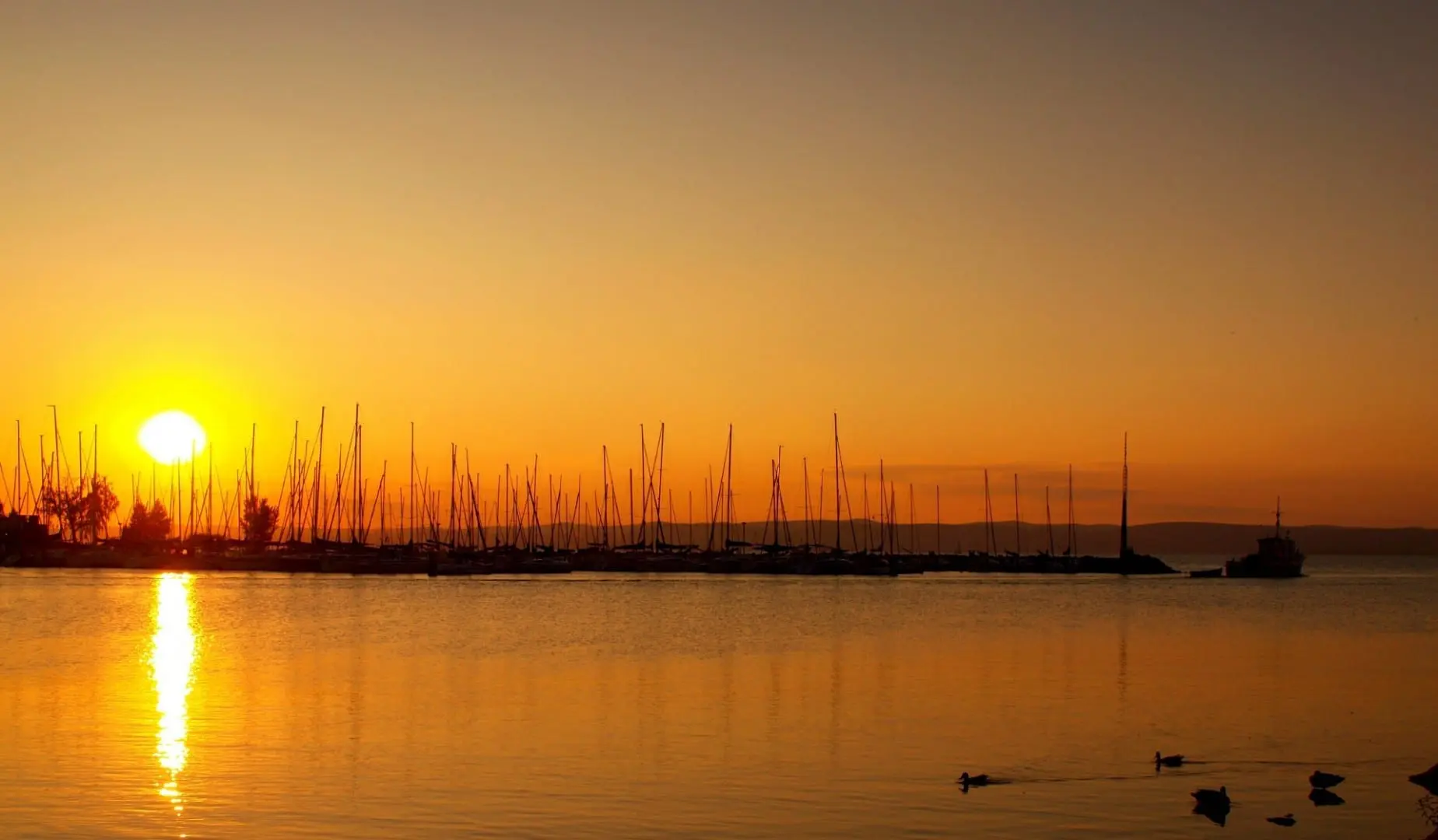 Foto del destino: Siófok