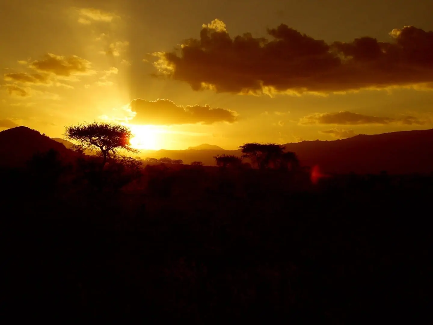 Foto del destino: Tsavo East National Park
