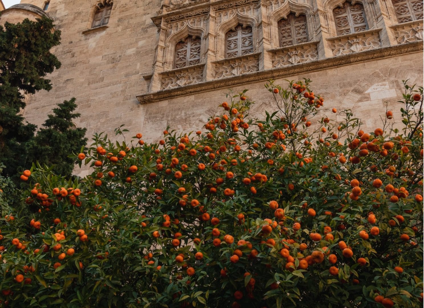 Viajes a Algemesí