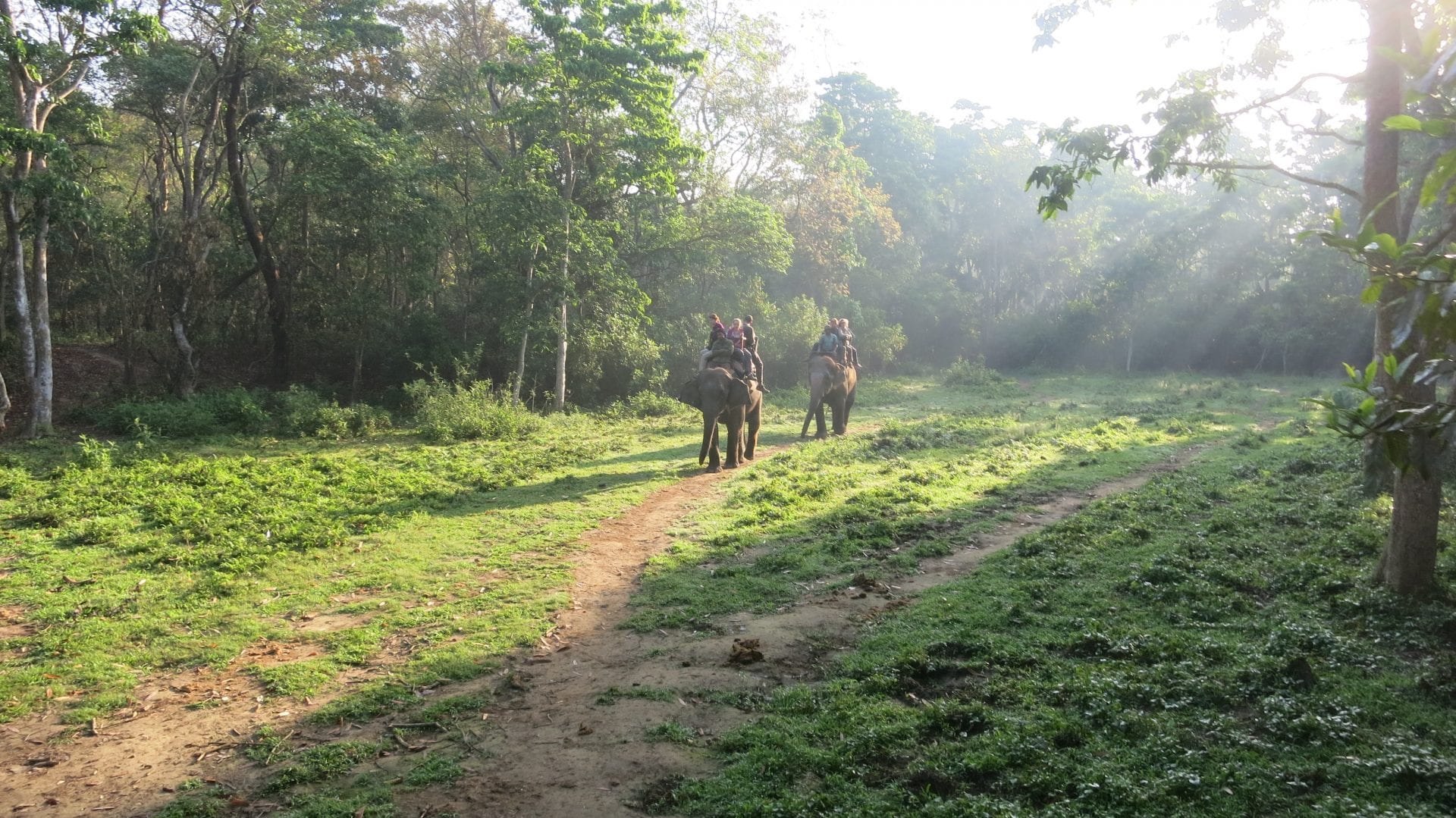 Viajes a Chitwan