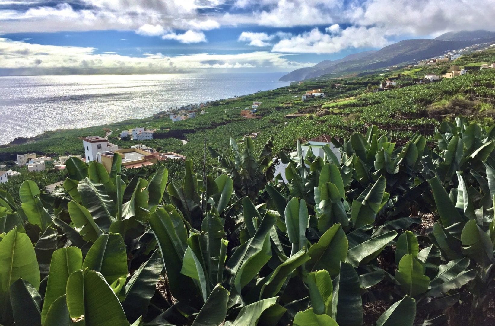 Viajes a La Palma