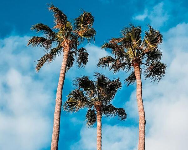 ¡Oferta! Semana en Gran Canaria desde Valencia ¡Oferta! Semana en Gran Canaria desde Valencia