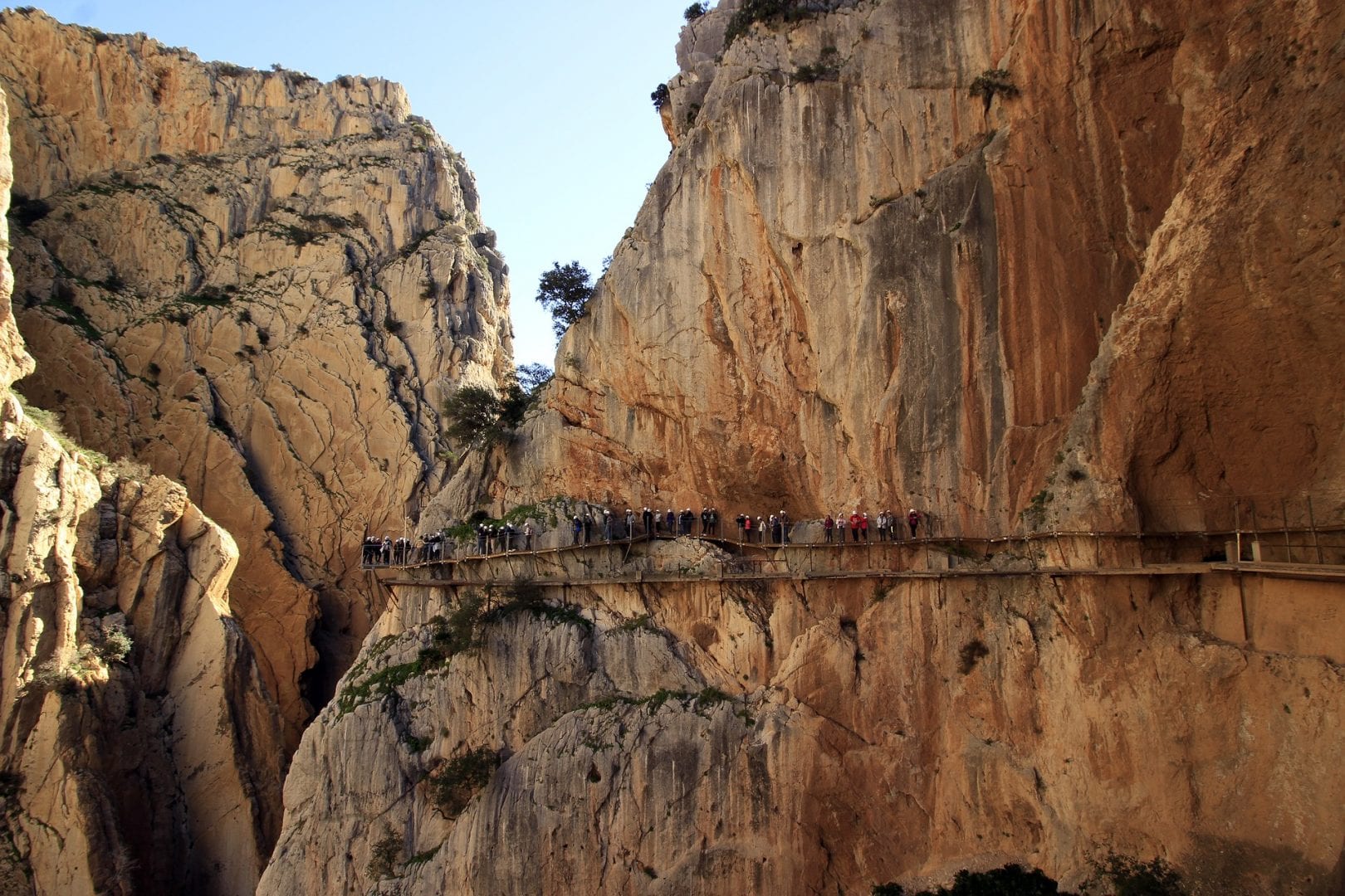 Viajes a Alhaurín de la Torre