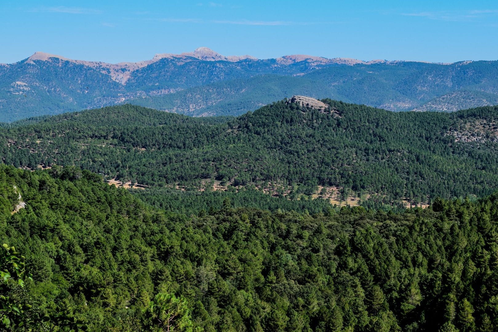 Viajes a Almansa