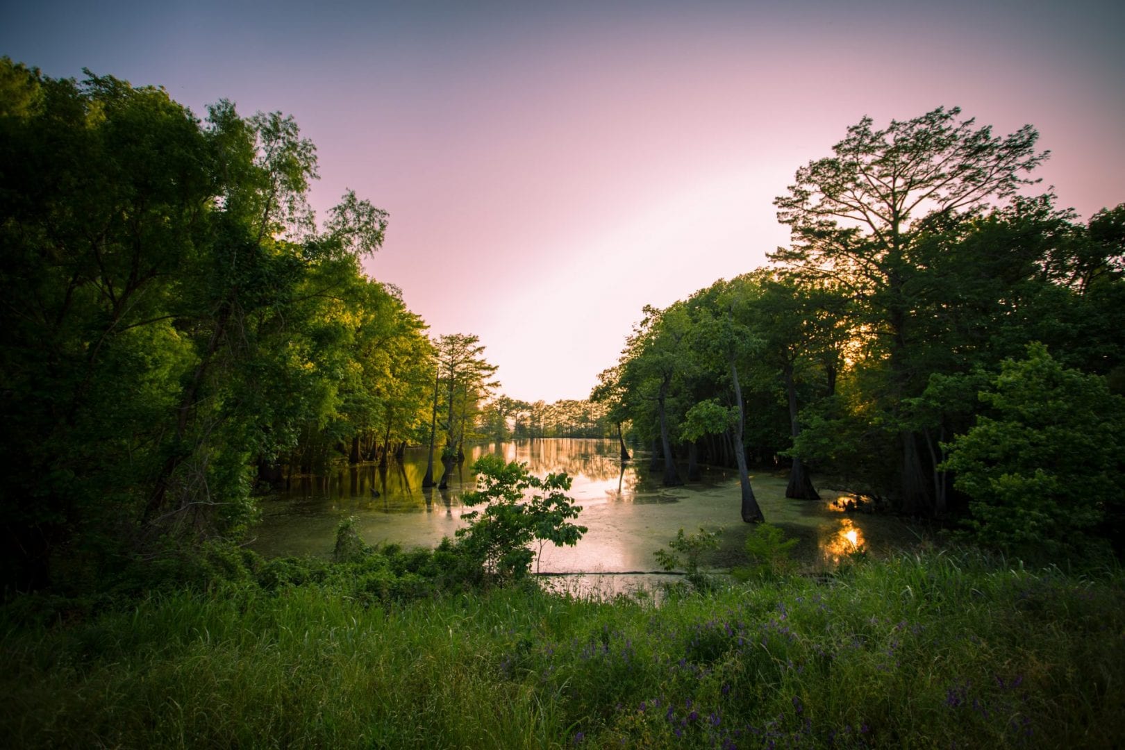 Viajes a Clarksdale