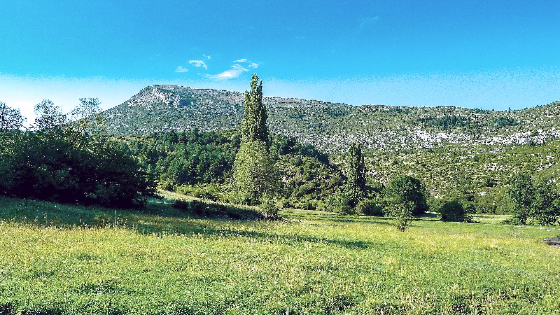 Viajes a Les Borges Blanques