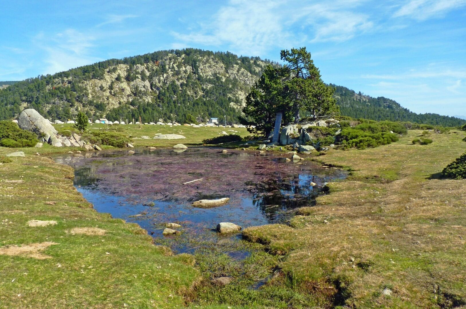 Viajes a Cerdanyola del valles