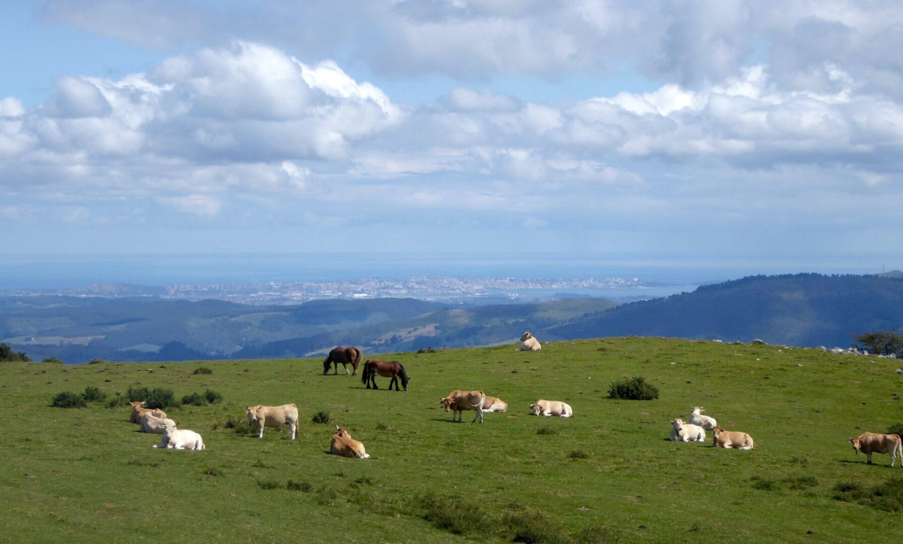 Viajes a Los Corrales de Buelna