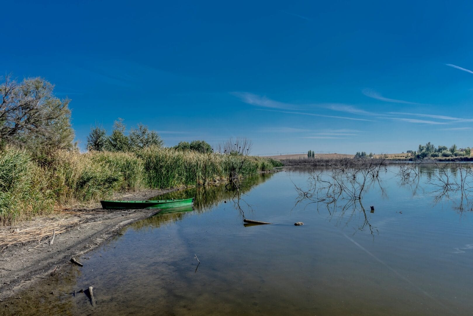 Viajes a Daimiel