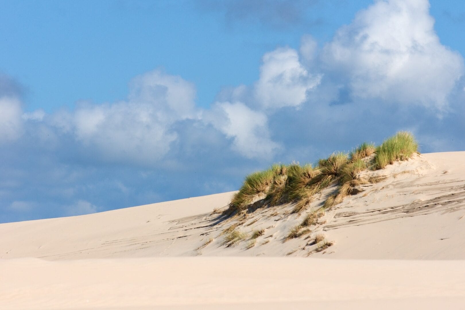 Viajes a Isla Canela