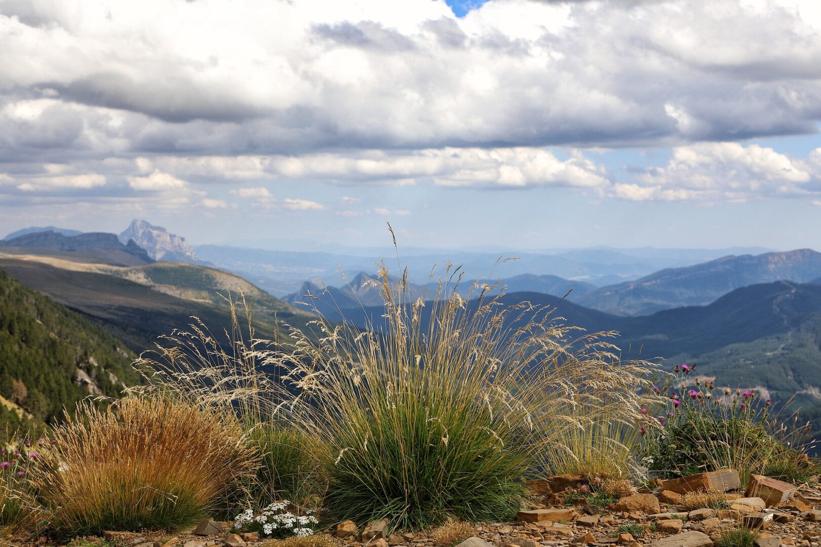 Viajes a Izarra