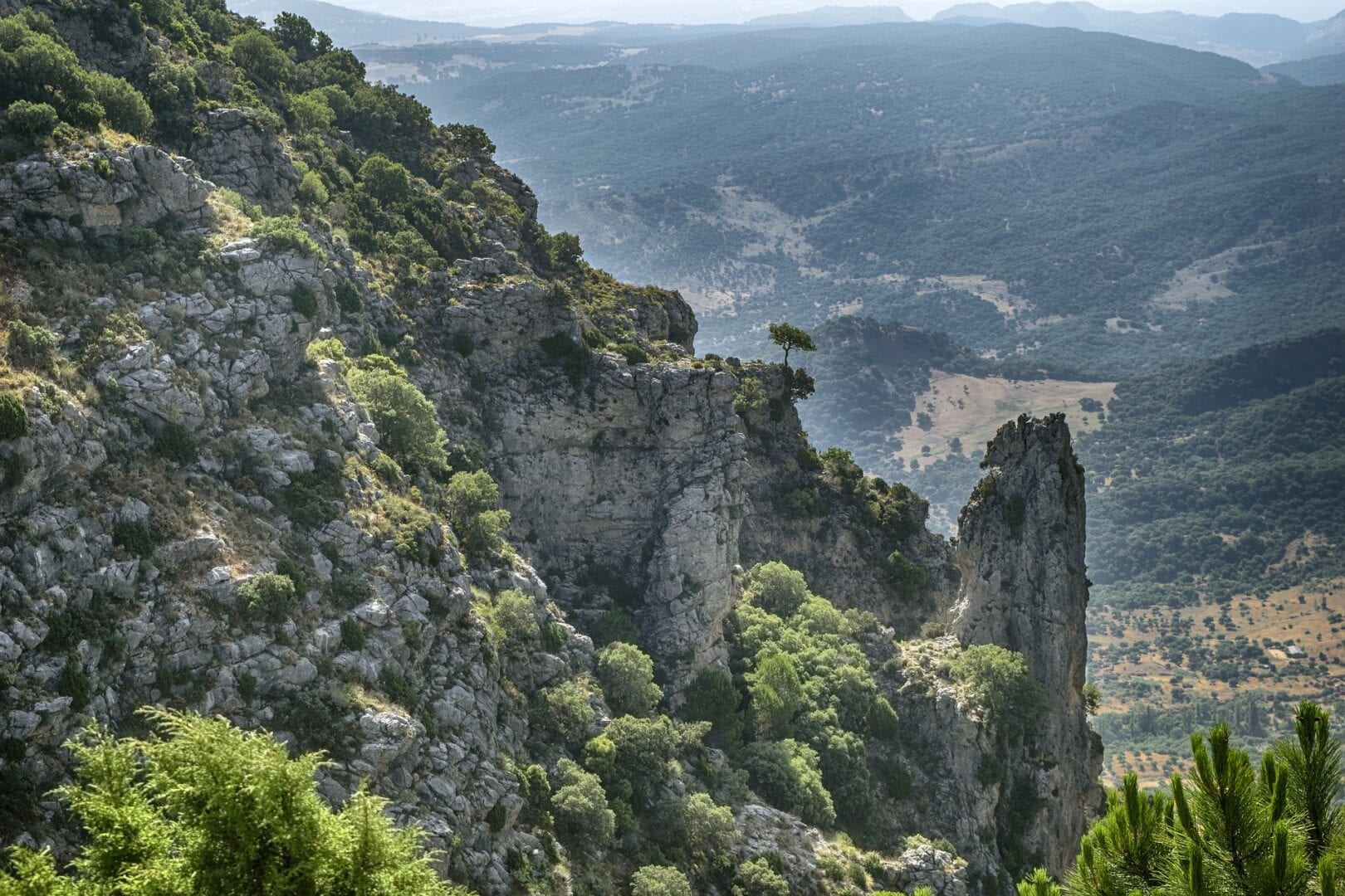 Viajes a Jabugo