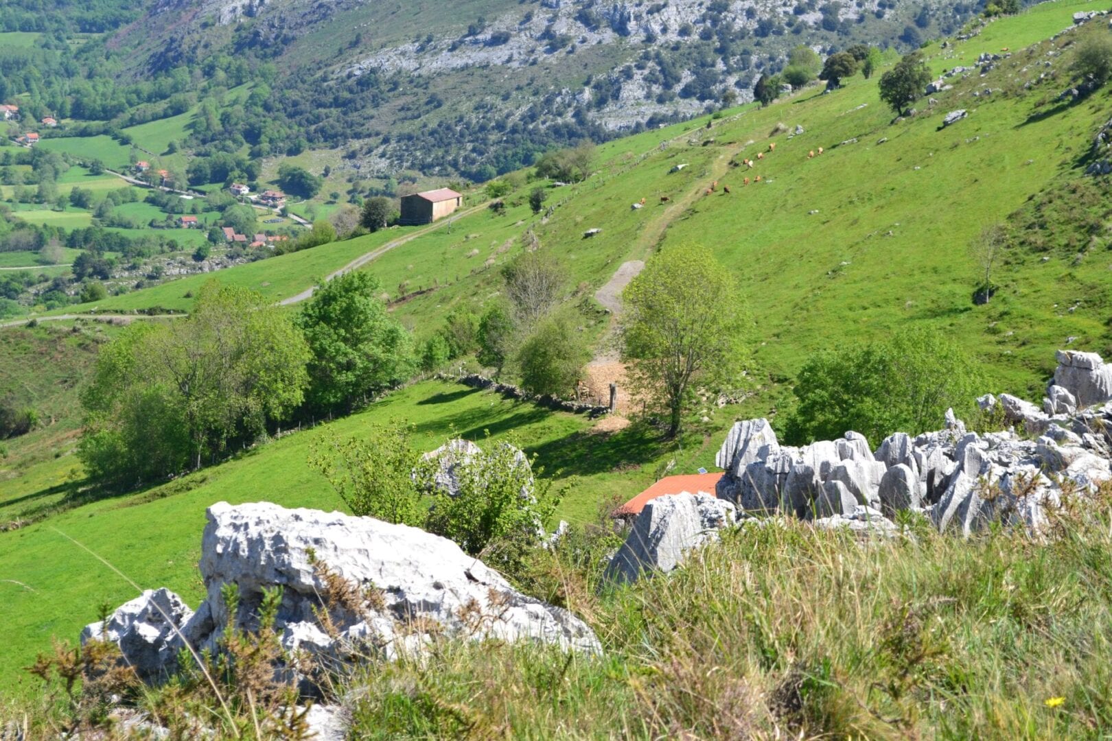 Viajes a Liérganes