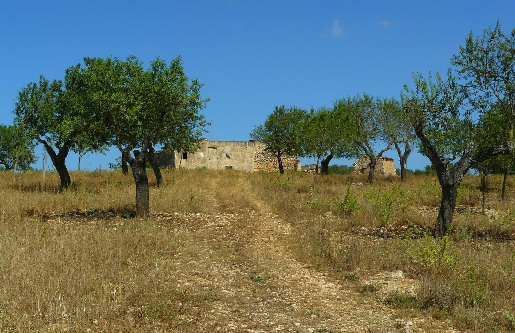 Viajes a Marchena