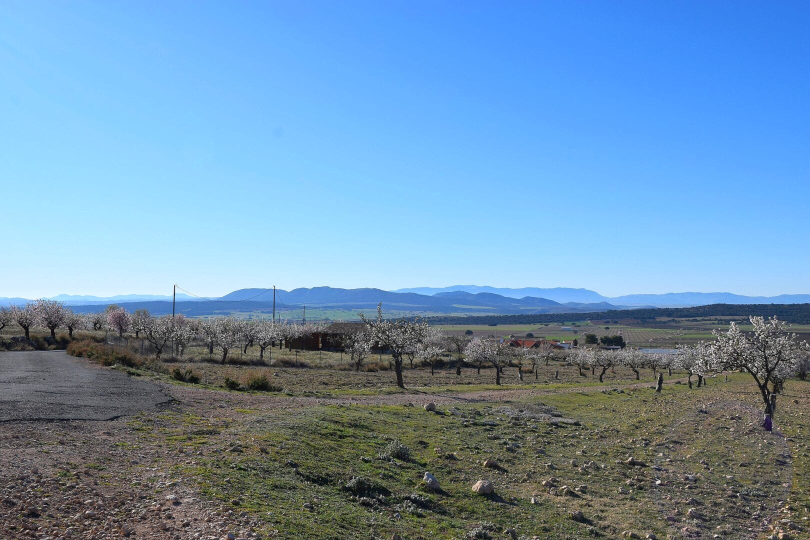 Viajes a Molina de Segura