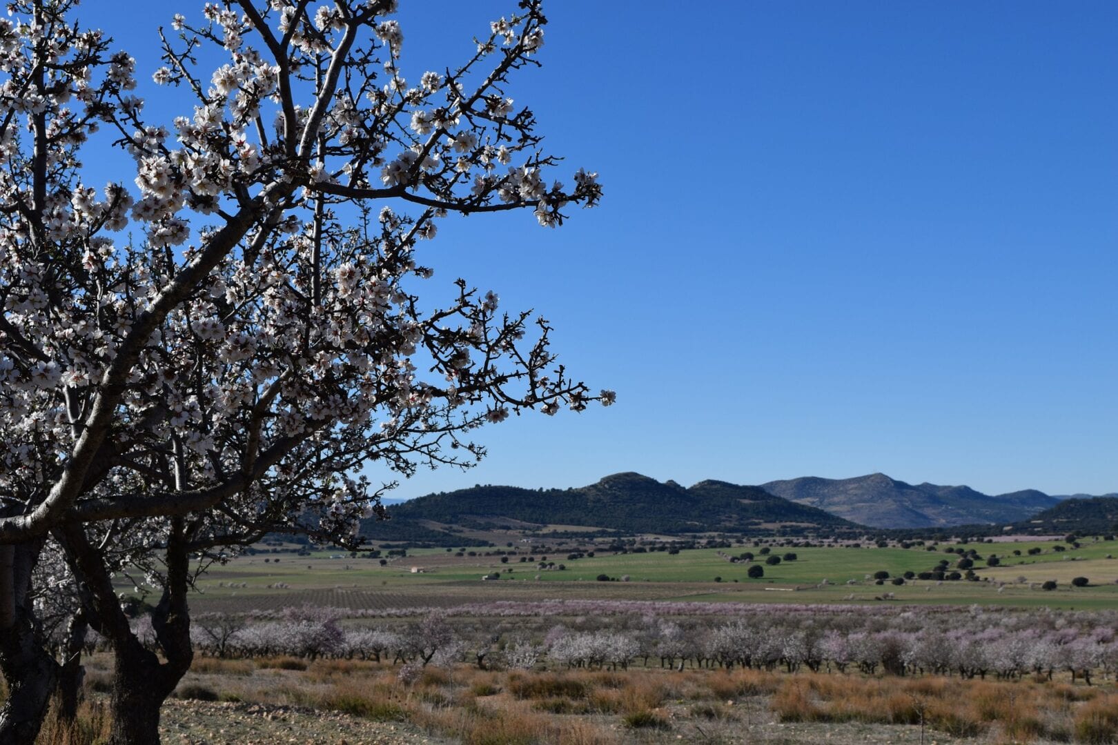 Viajes a Puerto Lumbreras