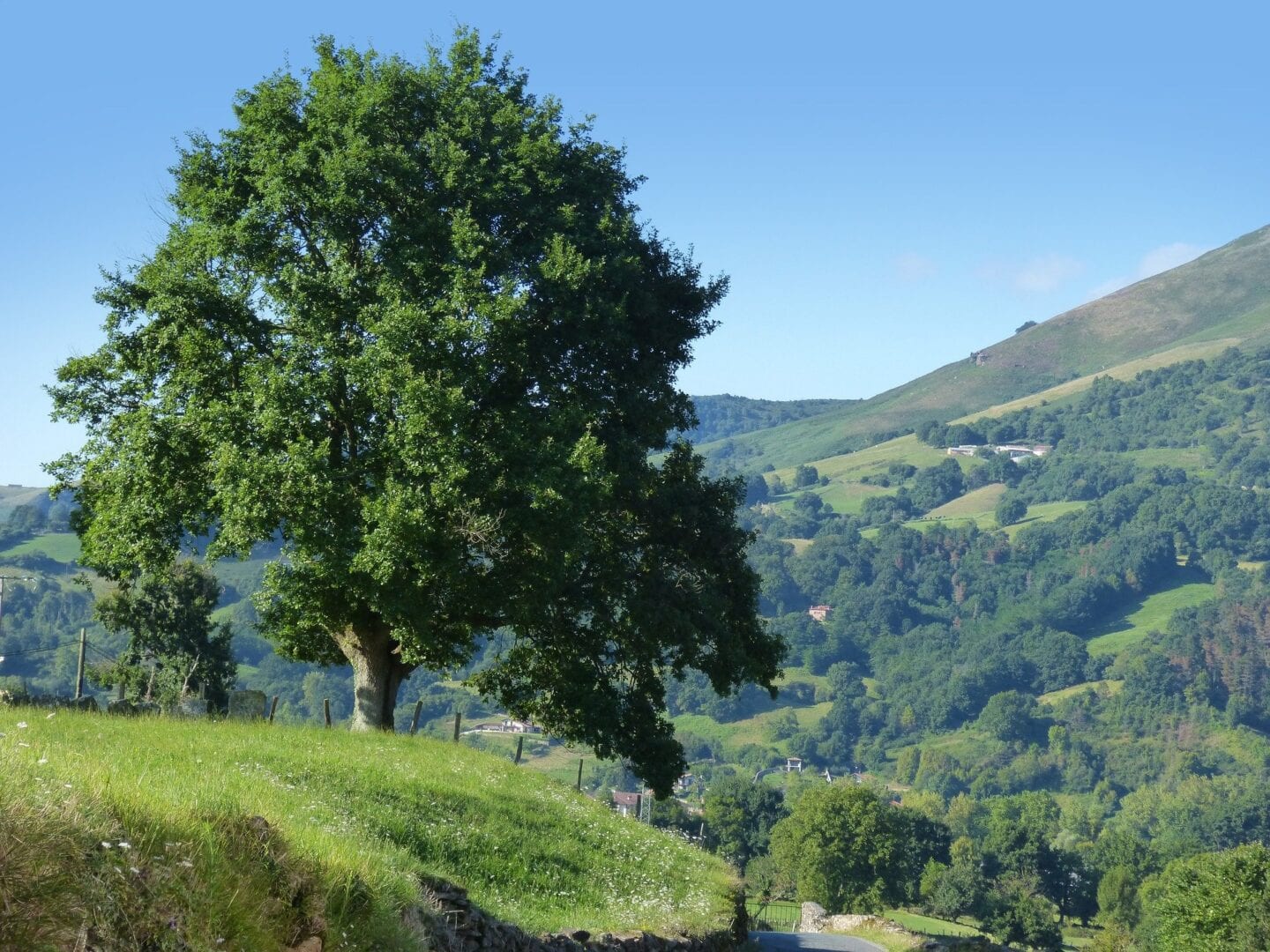 Viajes a Roncesvalles