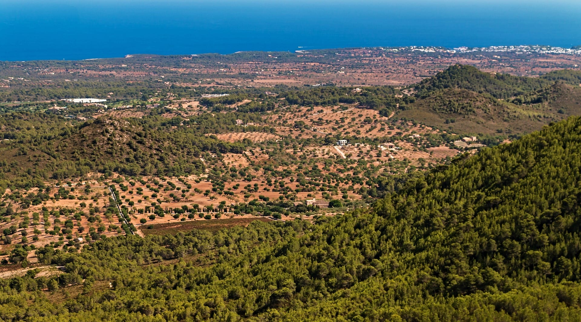 Viajes a Sa Coma, Mallorca