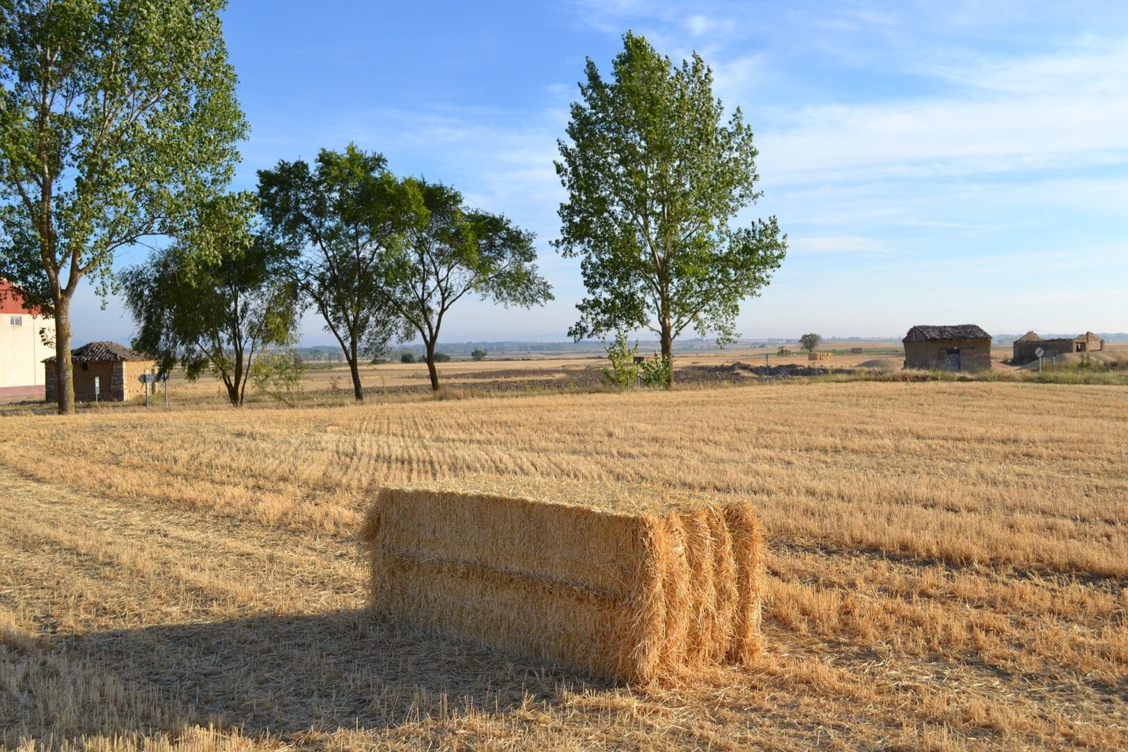 Viajes a Salvatierra