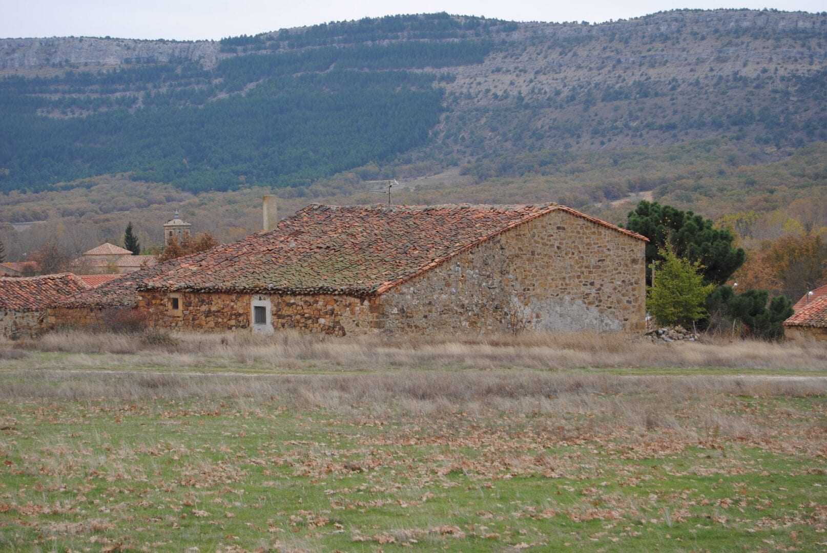 Viajes a Sotogrande