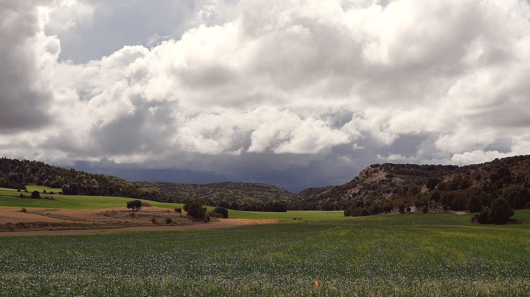 Viajes a Tordesillas