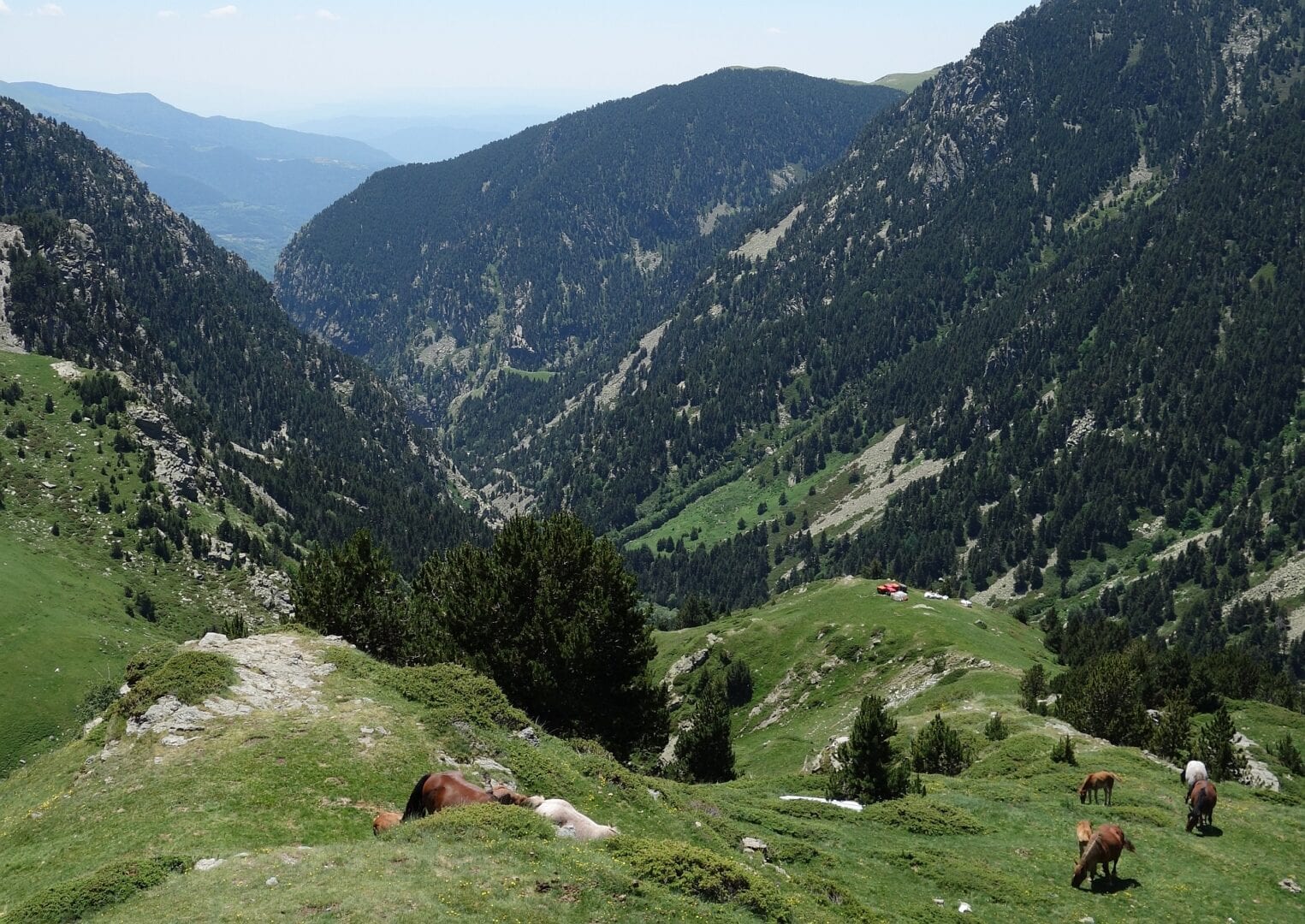 Viajes a Vall de Nuria