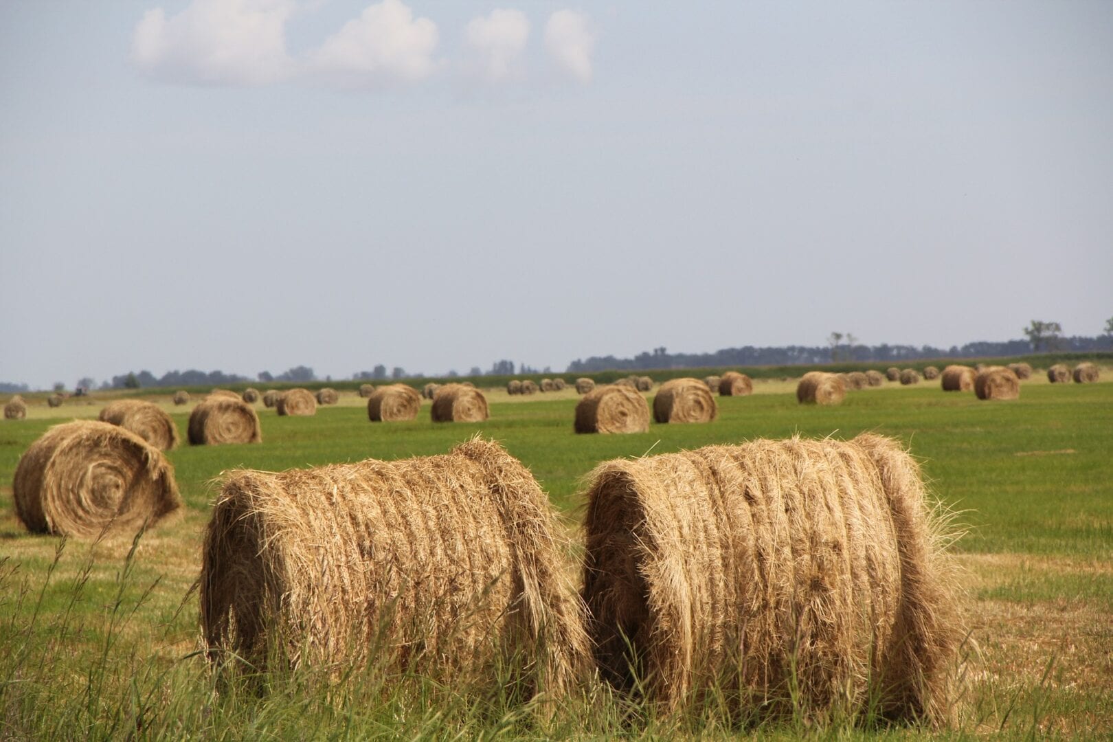 Viajes a Agri