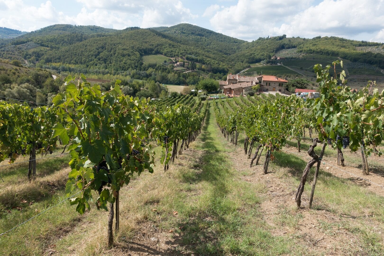 Viajes a Gaiole in Chianti