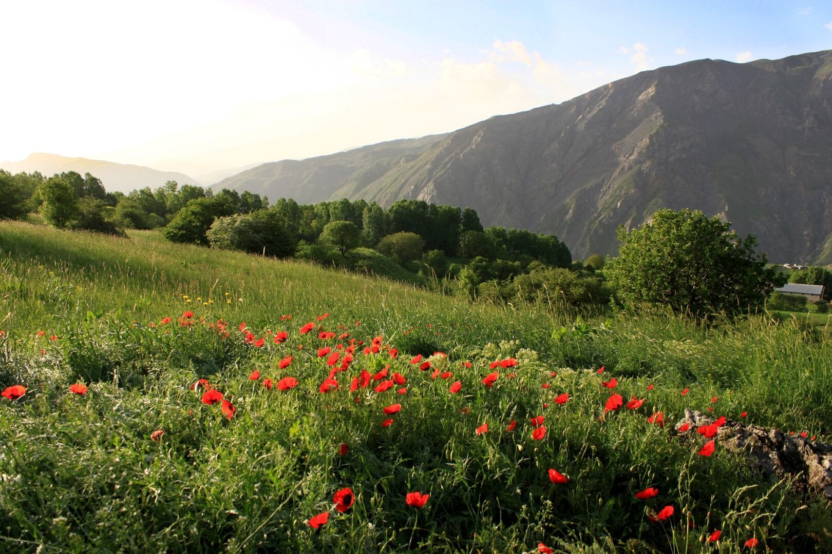 Viajes a Hakkari Yuksekova