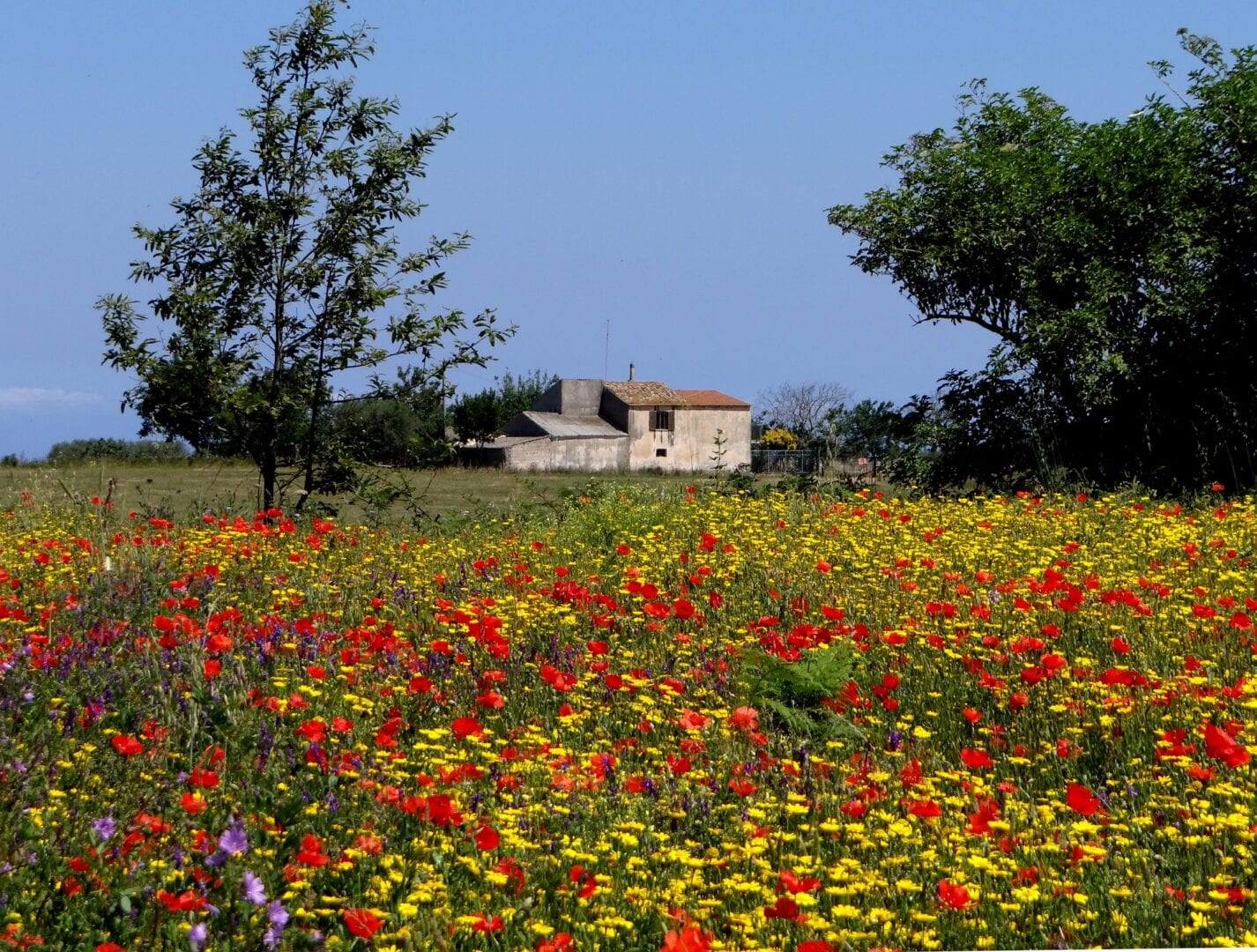 Viajes a Lamporecchio