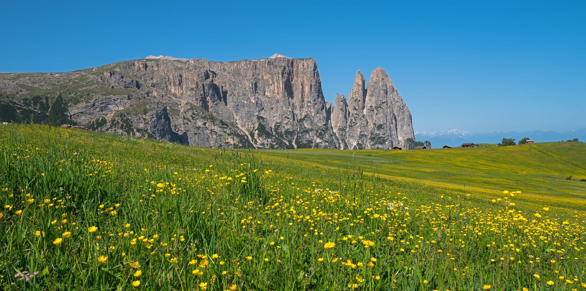 Viajes a Monte Cavallo