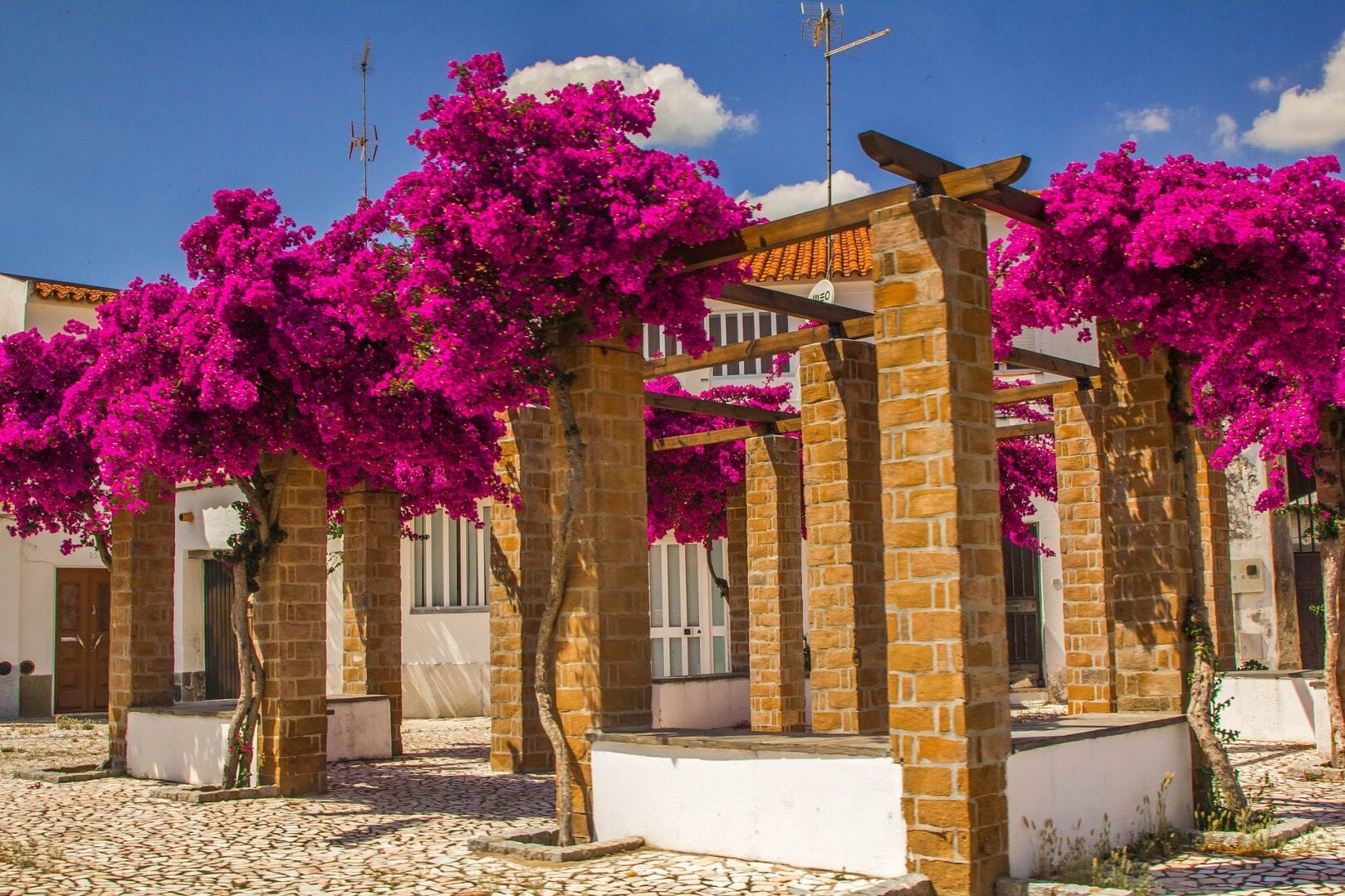 Viajes a Oliveira de Azemeis