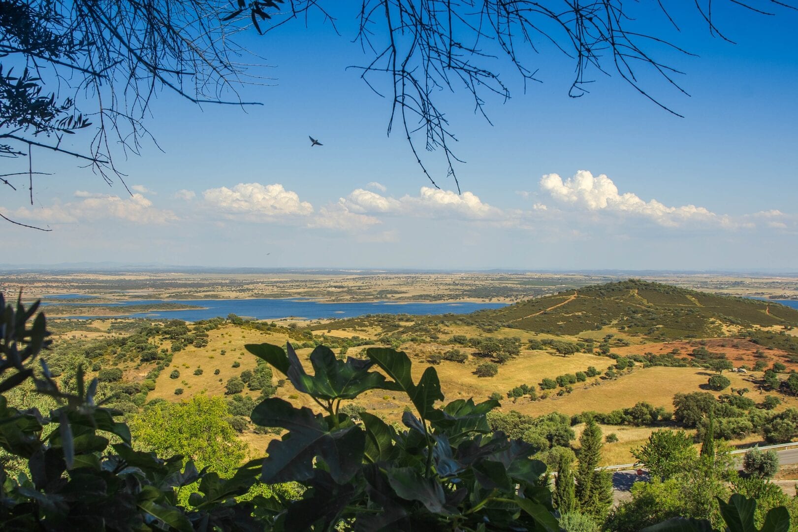 Viajes a Paredes de Coura