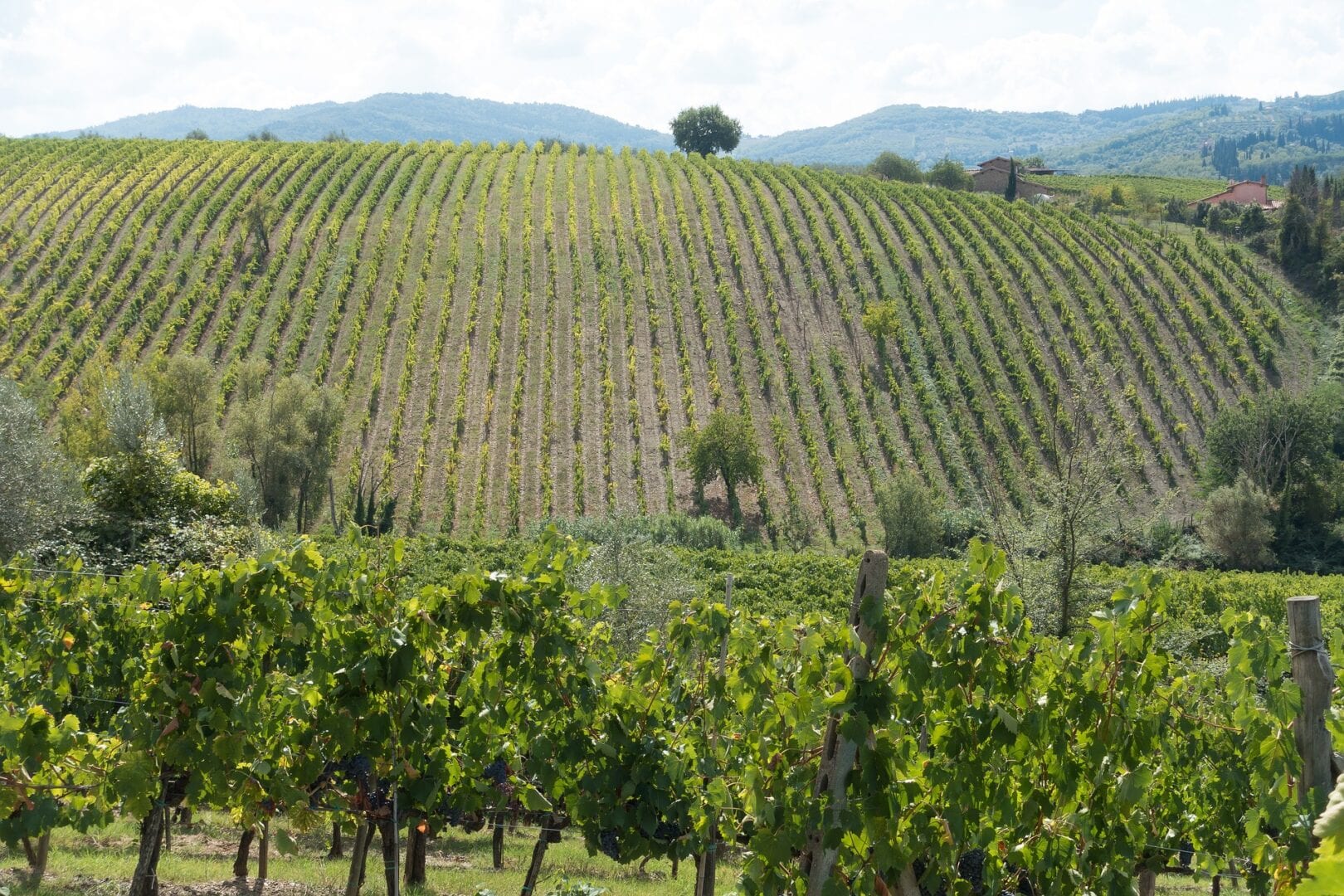 Viajes a Radda in Chianti