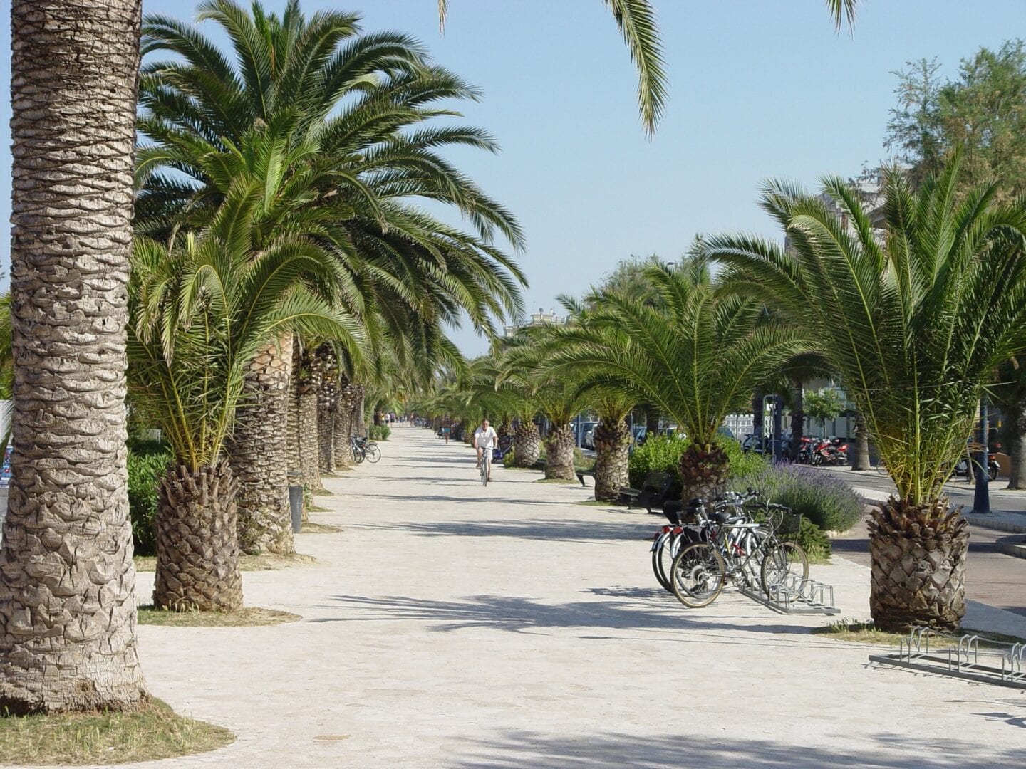 Viajes a San Benedetto del Tronto