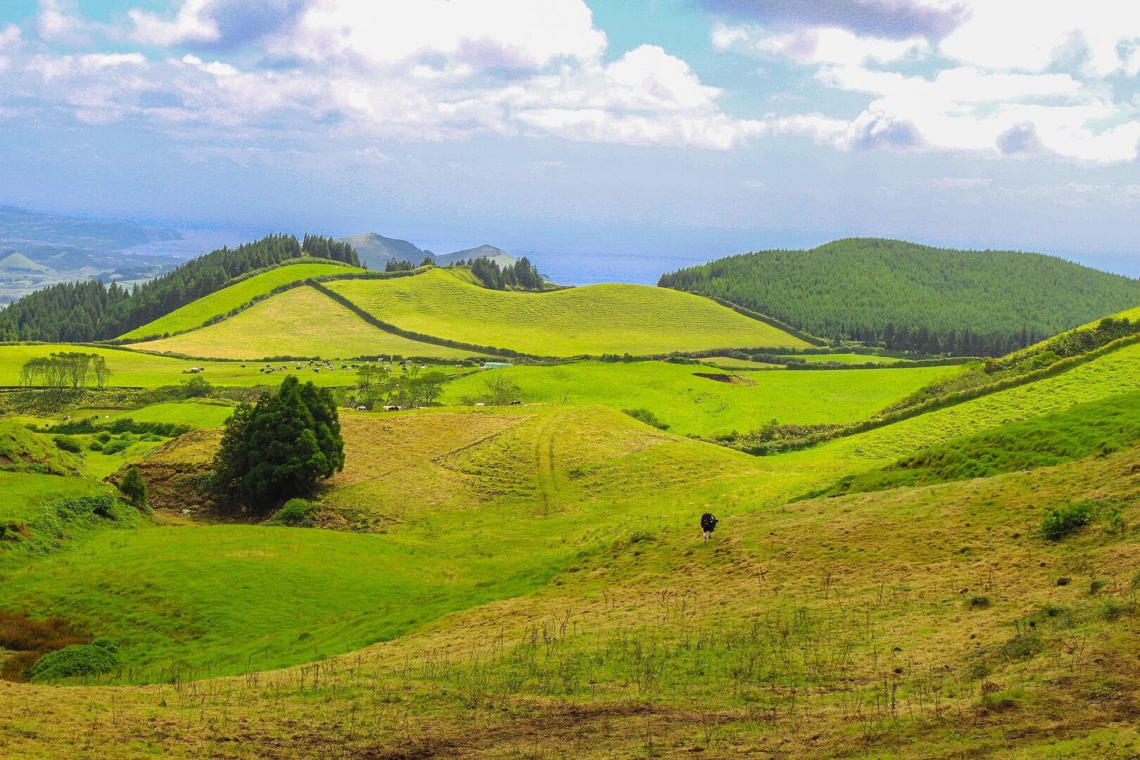 Viajes a São Vicente Ferreira (Azores)