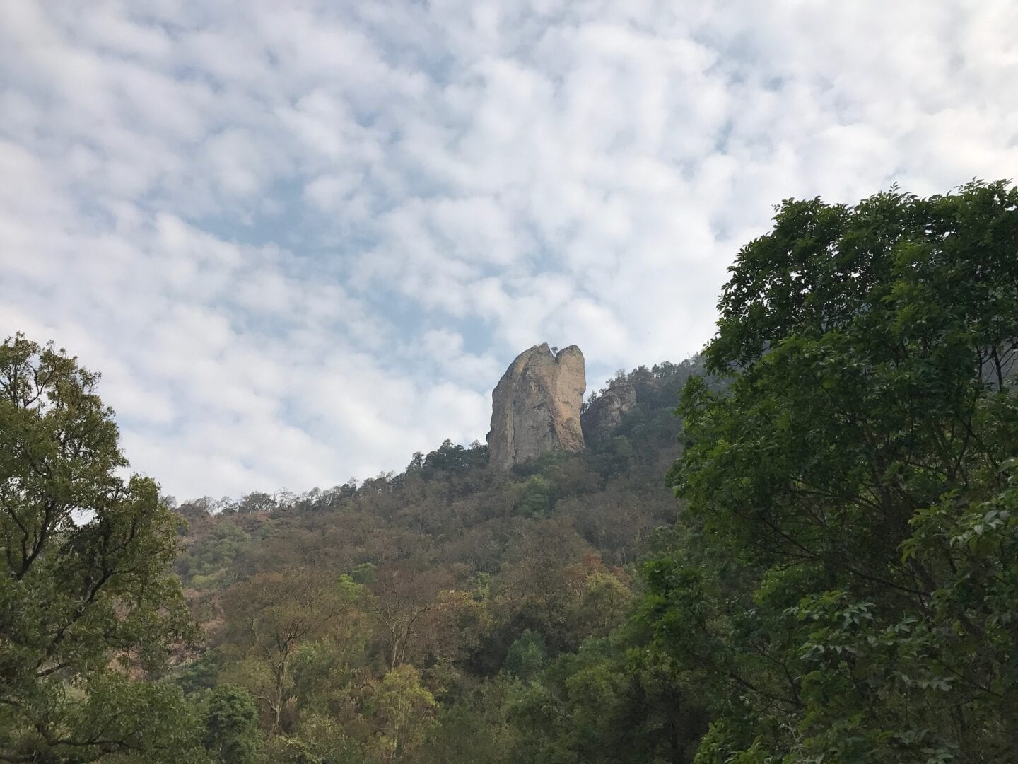 Viajes a Zamora de Hidalgo