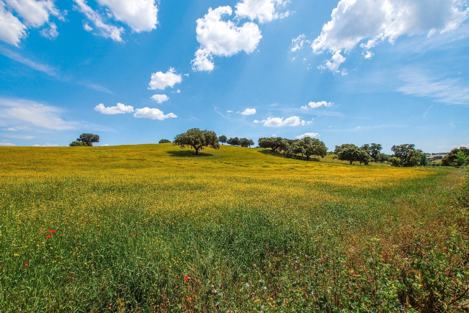 Viajes a Campo Maior