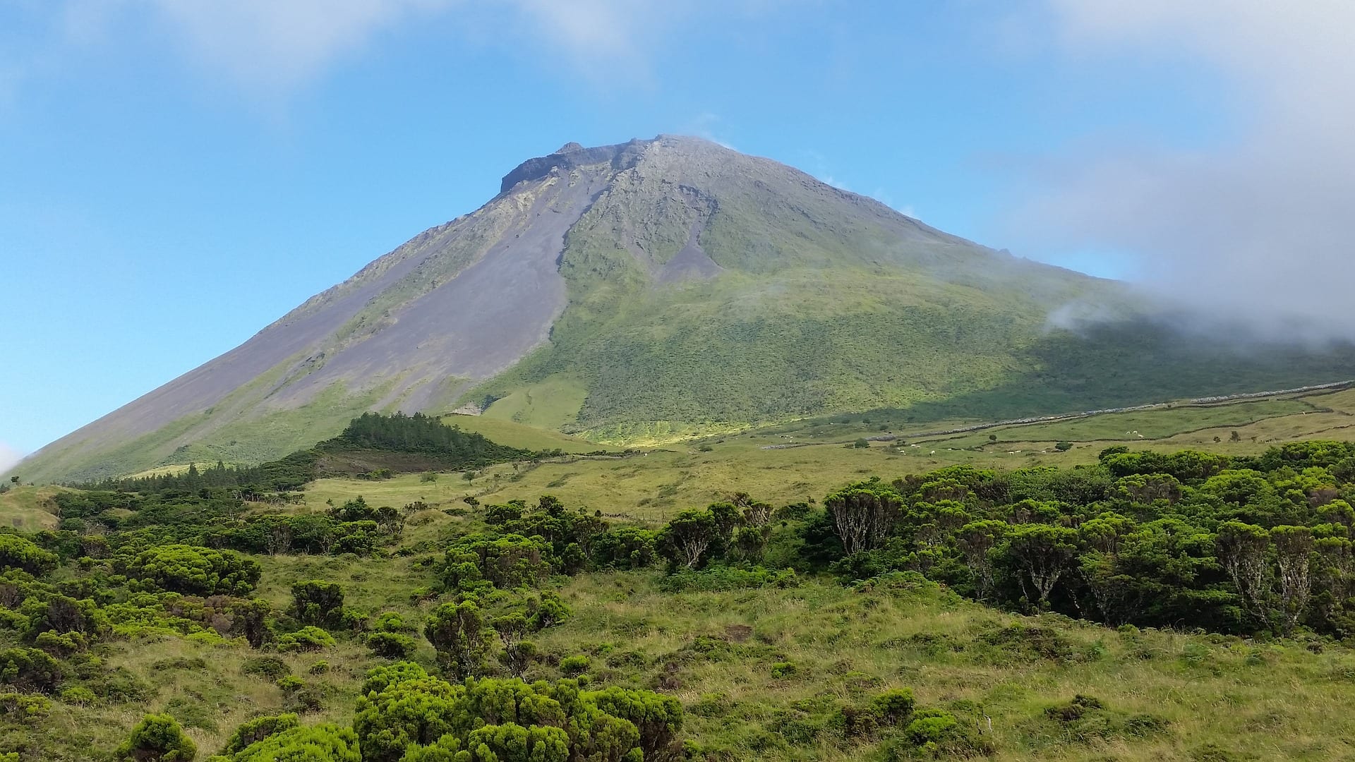 Viajes a Madalena (Azores)