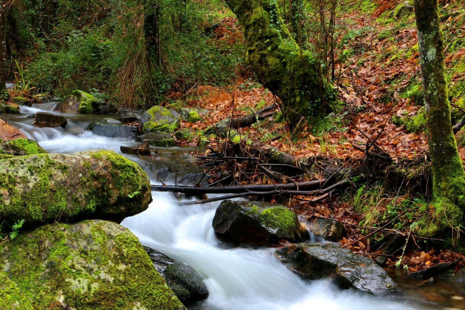 Viajes a Lousã