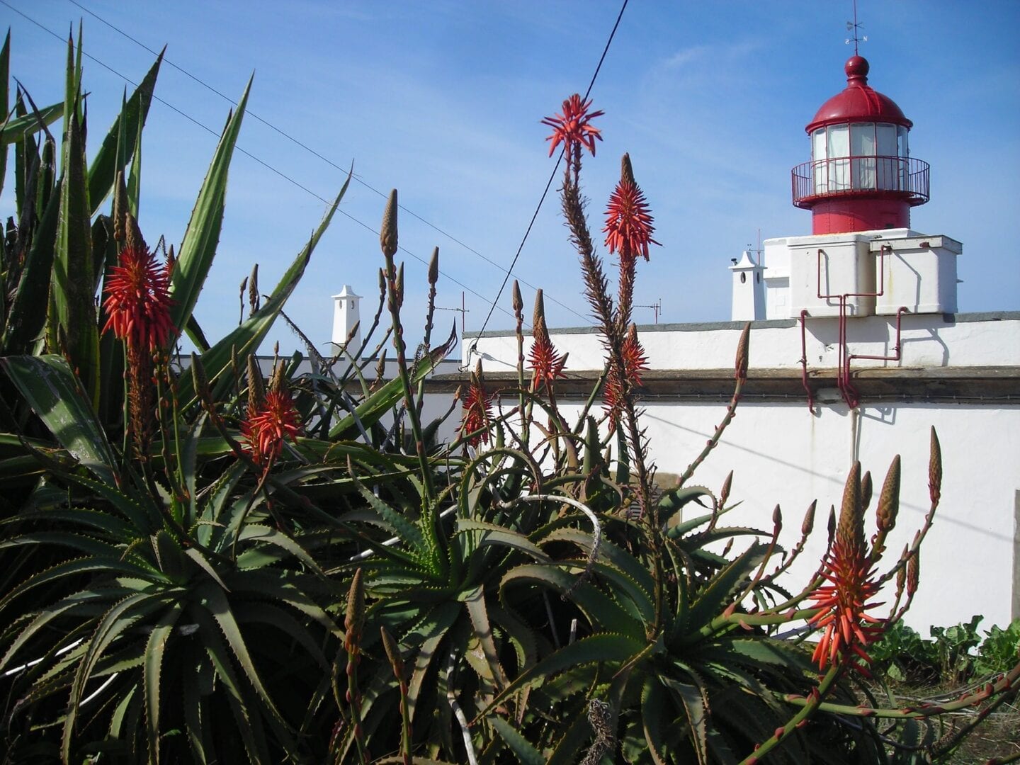 Viajes a Ponta do Pargo